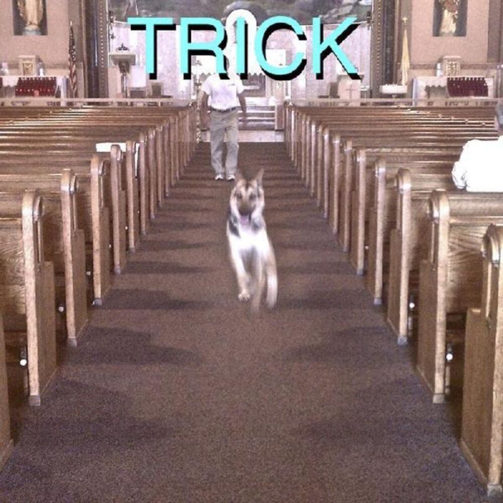 Alex G - Trick  LP LP - Picture 2 of 2